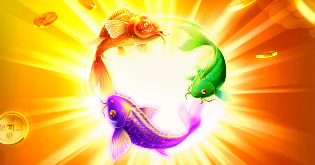 KOI TRIO