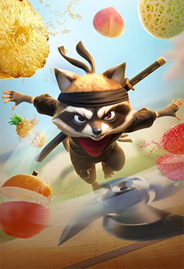 Ninja Raccoon Frenzy