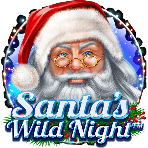 Santa’s Wild Night