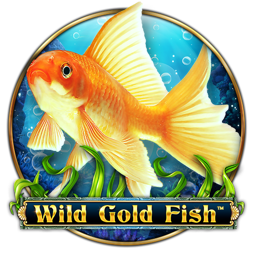 Wild Gold Fish