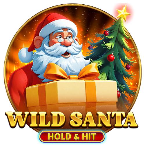 Wild Santa – Hold & Hit